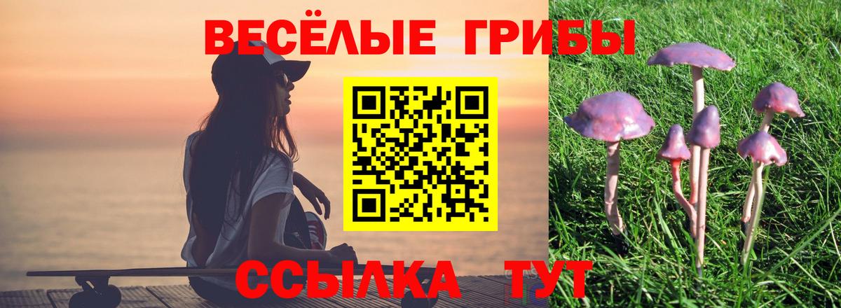 Мичуринск  Псилоцибиновые грибы Magic Shrooms  Галлюциногенные грибы прущие грибы  Вход с VPN 